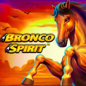 Bronco Spirit Thumbnail