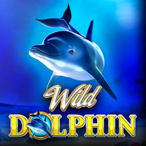 Wild Dolphin Thumbnail