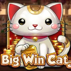 Big Win Cat Thumbnail