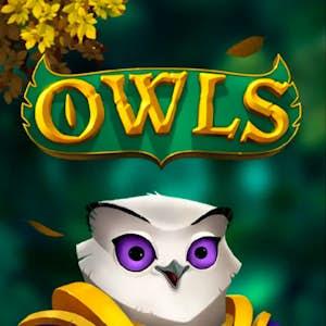 Owls Thumbnail