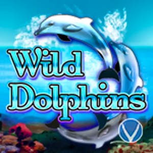 Wild Dolphins Thumbnail