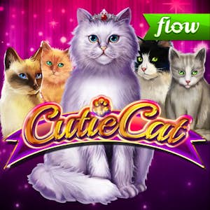Cutie Cat Thumbnail