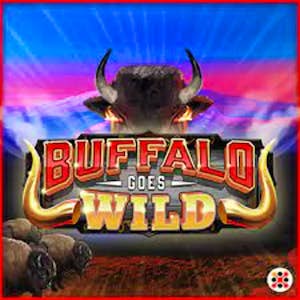 Buffalo Goes Wild Thumbnail